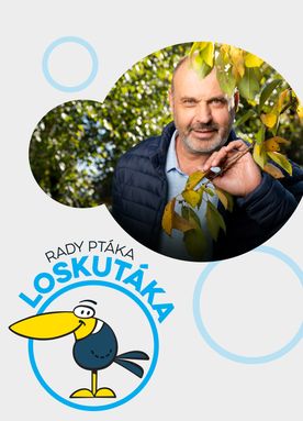 Rady ptáka Loskutáka