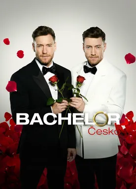 Bachelor