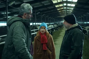 Kráva jako důkaz: Případy mimořádné Marty udělají show před dobytkem