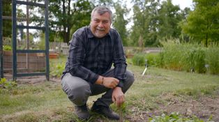 Vaše kouzelná zahrada a kuchyňské bylinky: Hladkolistá petržel nebo kudrnka