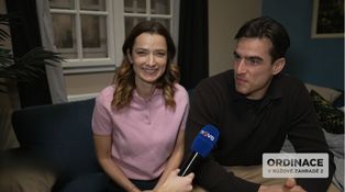 Idylka končí? Šoposká promluvila o budoucnosti Bibi