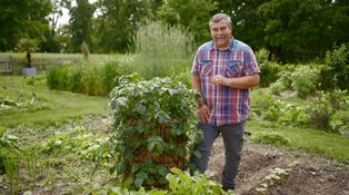 Fialové i růžové? Roman Kváč představí exotické brambory