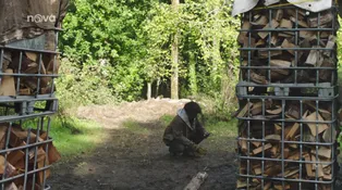 5. díl 5. díl