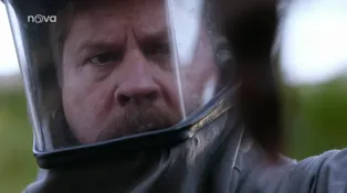 5. díl