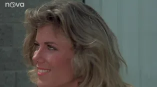 Knight Rider