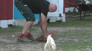 Farma Česko