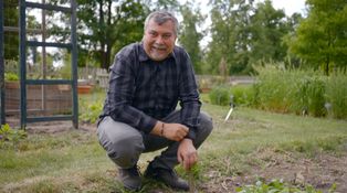 Vaše kouzelná zahrada a kuchyňské bylinky: Hladkolistá petržel nebo kudrnka