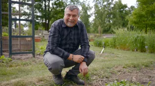 Vaše kouzelná zahrada