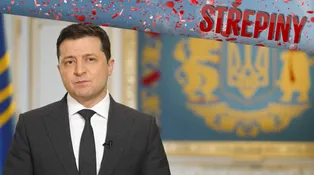 Střepiny