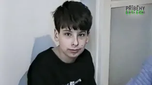 Příběhy českých zločinů