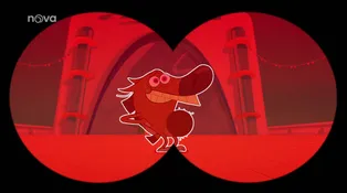 Zig a Sharko