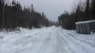 5. díl