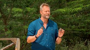 Ultimátní vyřazení v Survivoru: Žádné vázy osudu a dva hráči ven