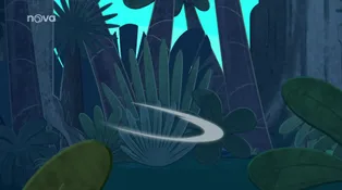 Zig a Sharko