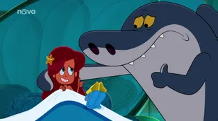 Zig a Sharko