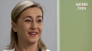 Anatomie života