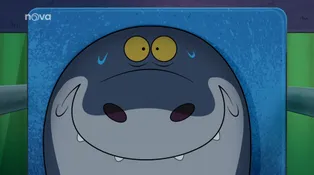 Zig a Sharko
