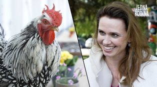 Herci z Jedné rodiny natáčeli s kohoutem: Opeřenec úplně odrovnal štáb