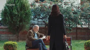 17. díl