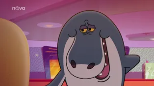 Zig a Sharko
