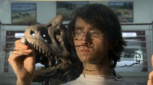 Zajímavá teorie mladého českého vědce: Jak se pářili dinosauři?