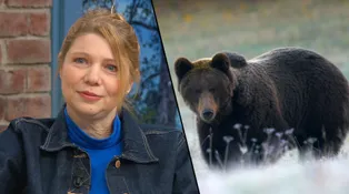 Zabíjet, nebo chránit: Série Medvěd přináší střet názorů