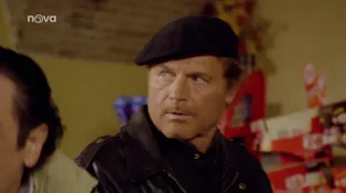 Don Matteo