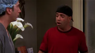 3. díl - Jak chtěl být Ross opálený