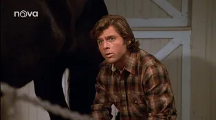 16. díl - Tajemství krále parádníka