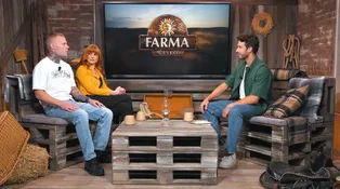 Farma Extra