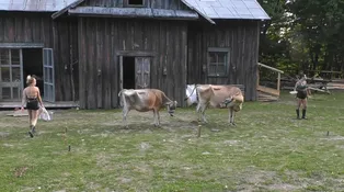Farma Česko