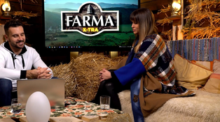 Farma (SK)