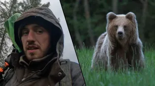 Influencer sleduje medvědy v přírodě: Nejsou to žádné krvelačné bestie