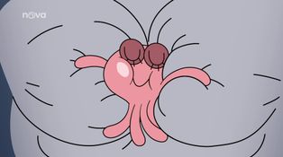 57. díl 57. díl