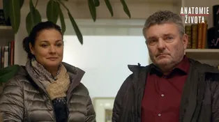Anatomie života