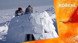 Koření