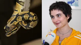 Výzva pro Evu Podzimkovou: V Mozaice natáčela s živým hadem