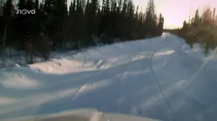 3. díl