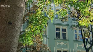 50. díl - Snad to vyjde příště