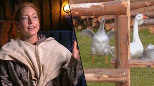 Obrovský průšvih na Farmě: Utekly husy