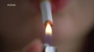 8. díl - Kdo ví, nepoví! 8. díl - Kdo ví, nepoví!