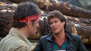 Knight Rider