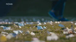 91. díl