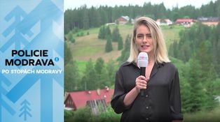 Klokani na Šumavě? Ano! V samotném srdci Modravy!