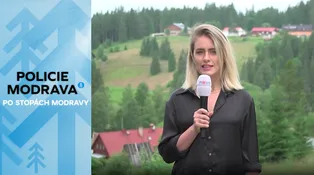Klokani na Šumavě? Ano! V samotném srdci Modravy!