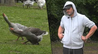 Farma Česko