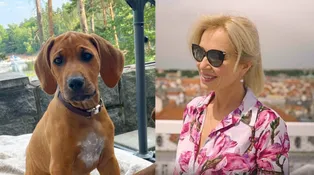 Nová láska Kateřiny Brožové: Donneček mě okamžitě přijal jako mámu, říká dojatě