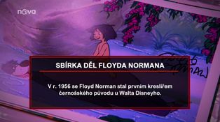 16. díl - Šestáková romance