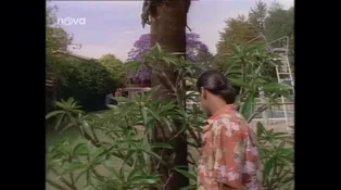 17. díl