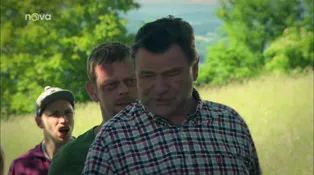 16. díl - O hmyzu a jiné otravné havěti